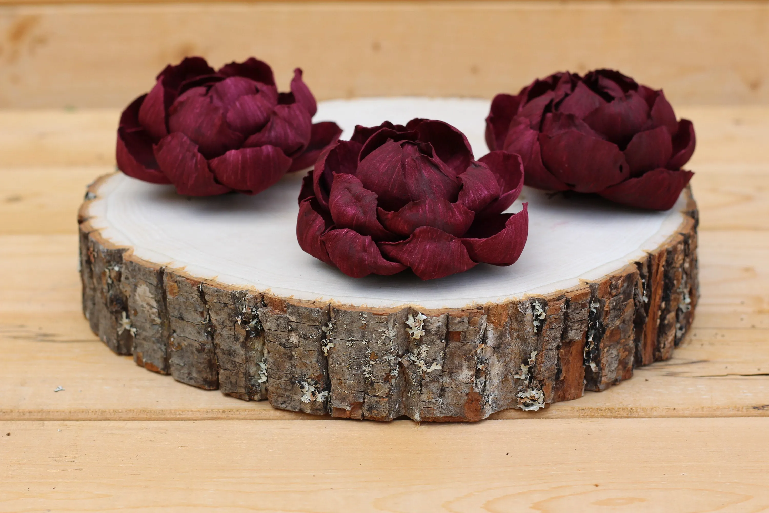 3" Wine Sola Wood Premium Peonies