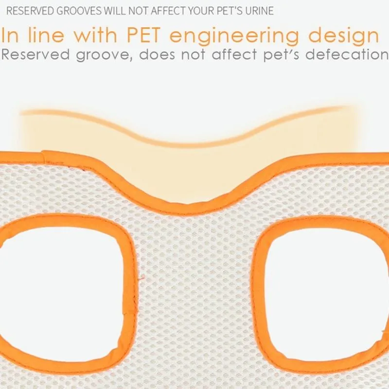 Assistive Belt For Elderly Dogs With Front Leg Disabilities