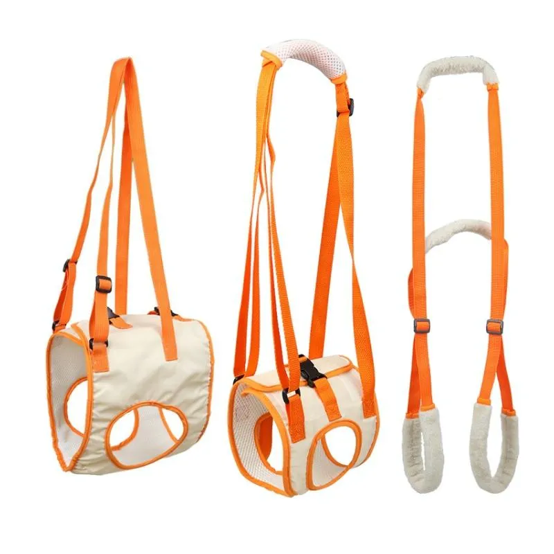 Assistive Belt For Elderly Dogs With Front Leg Disabilities