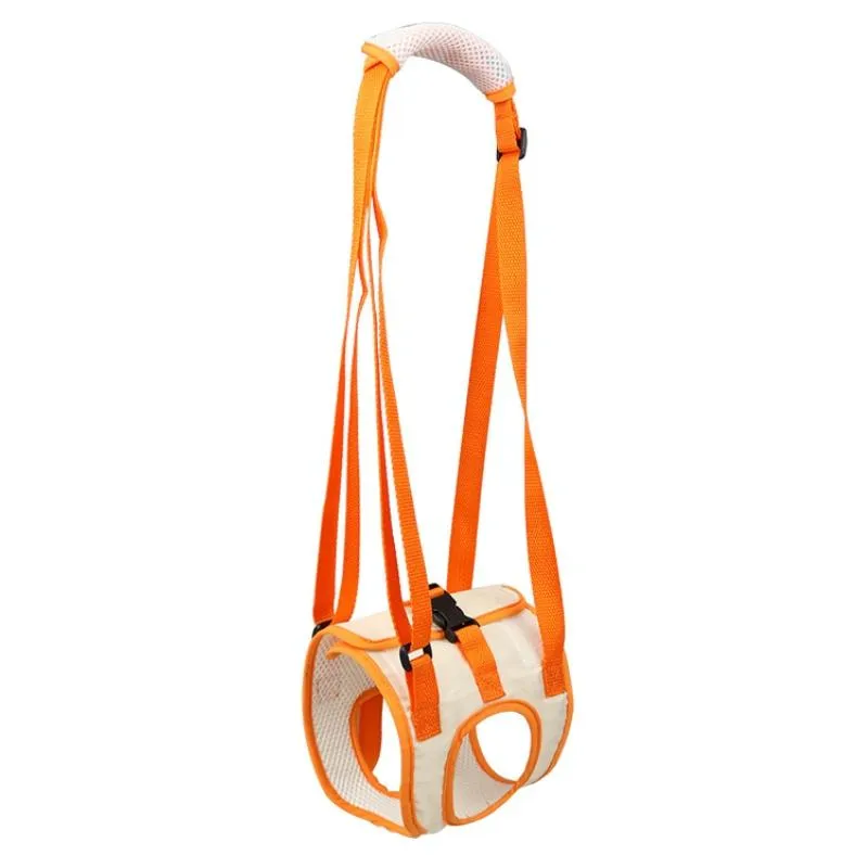 Assistive Belt For Elderly Dogs With Hind Leg Disabilities