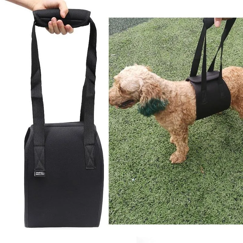 Assistive Dog Belt For Elderly Or Disabled Dogs Size L