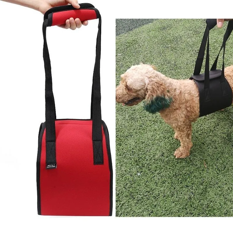 Assistive Dog Belt For Elderly Or Disabled Dogs Size L