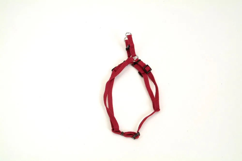 Coastal New earth Soy Comfort Wrap Adjustable Harness Cranberry 3/8X12-18In