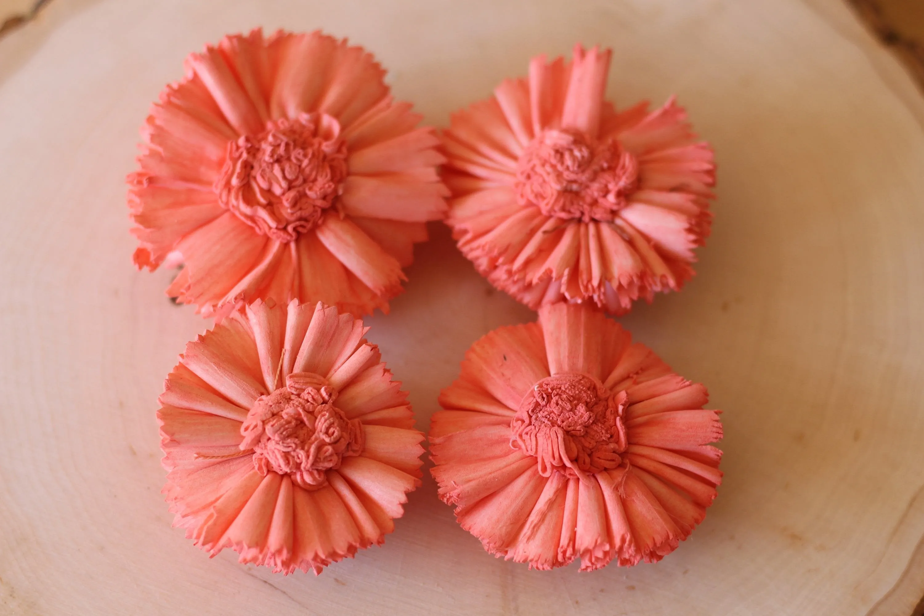 Coral Sola Wood Carnations ( Set of 12 )