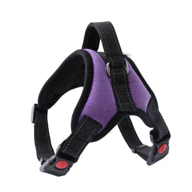 Dog and Cat Adjustable Harness with Leash Reflective and Breathable for Small and Large Dog Harness Vest Pet Supplies
