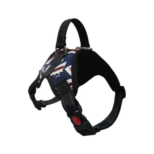 Dog and Cat Adjustable Harness with Leash Reflective and Breathable for Small and Large Dog Harness Vest Pet Supplies