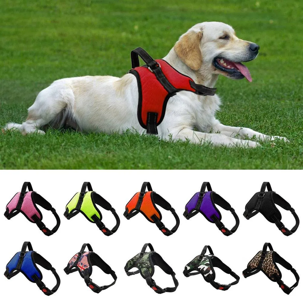 Dog and Cat Adjustable Harness with Leash Reflective and Breathable for Small and Large Dog Harness Vest Pet Supplies