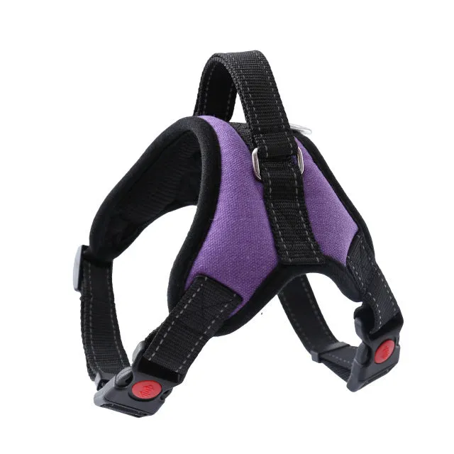 Dog and Cat Adjustable Harness with Leash Reflective and Breathable for Small and Large Dog Harness Vest Pet Supplies
