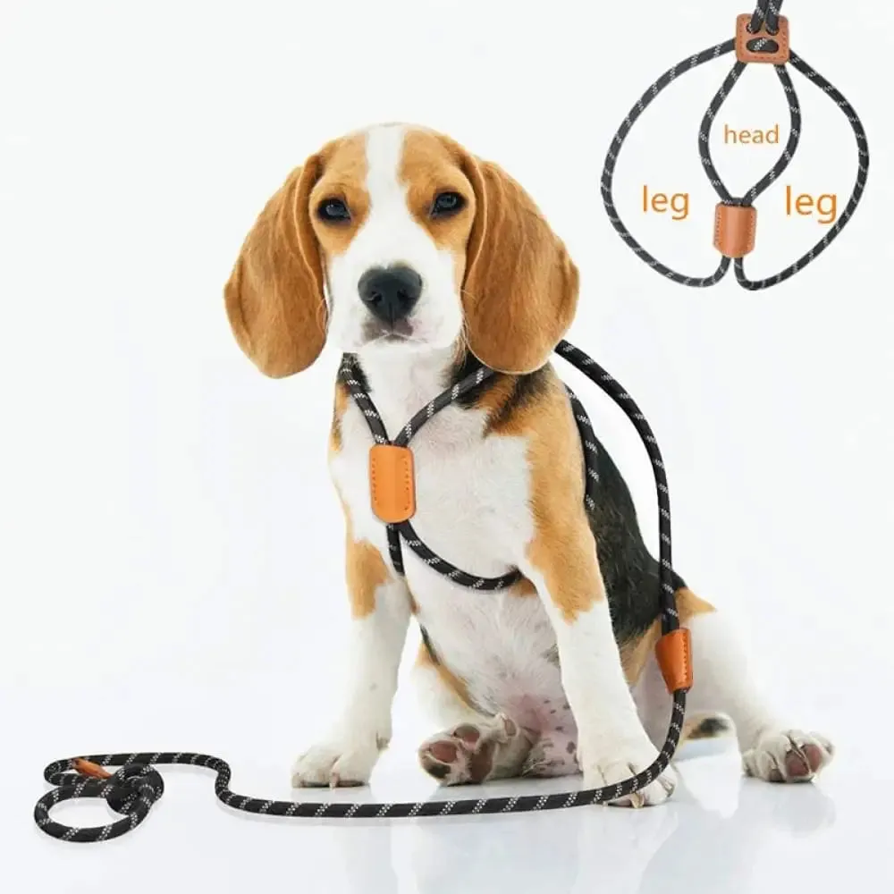 Durable Adjustable Reflective Lightweight Slip Pet Harness and Leash Set for Small, Medium, and Large Dogs