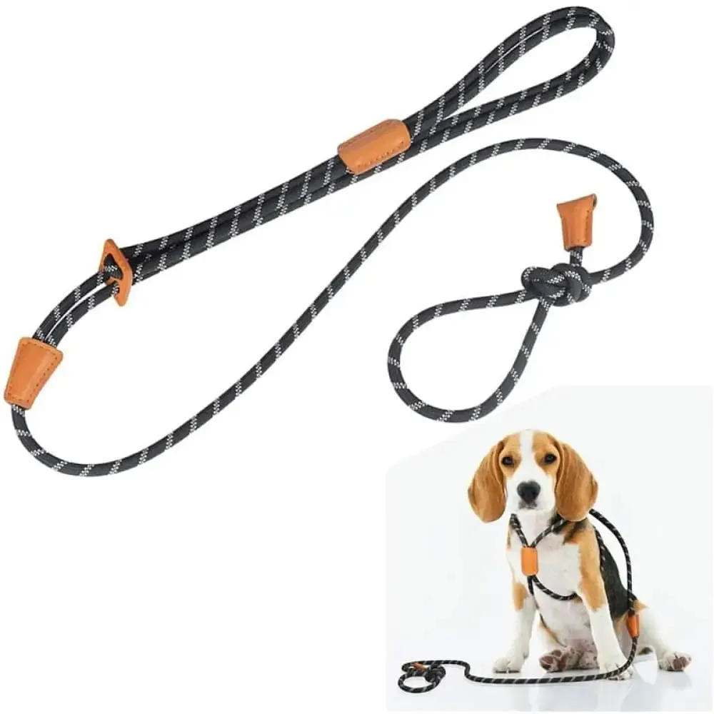 Durable Adjustable Reflective Lightweight Slip Pet Harness and Leash Set for Small, Medium, and Large Dogs