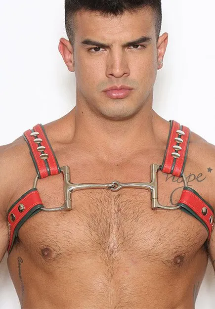 Guccy Half-Harness
