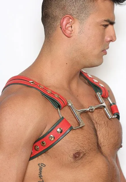 Guccy Half-Harness
