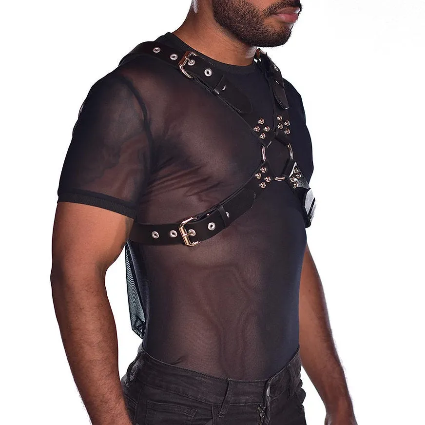 Harness spartan