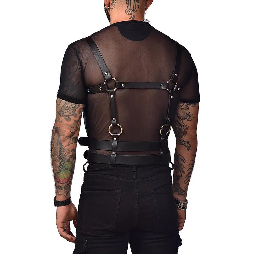 Harness torso and chest