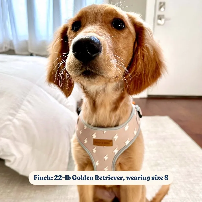 Lightnings Lockable Harness™