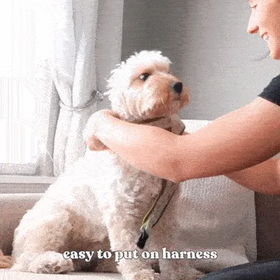 Lightnings Lockable Harness™