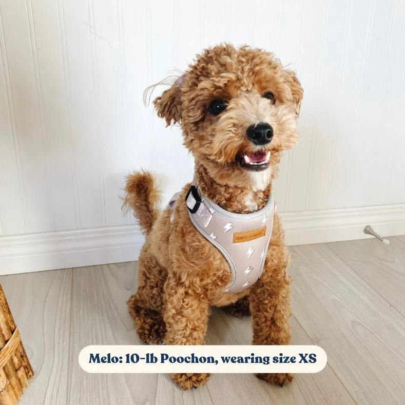 Lightnings Lockable Harness™