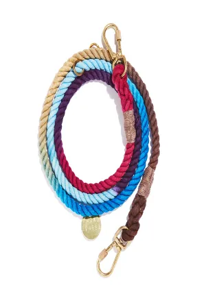 mood ring ombre leash