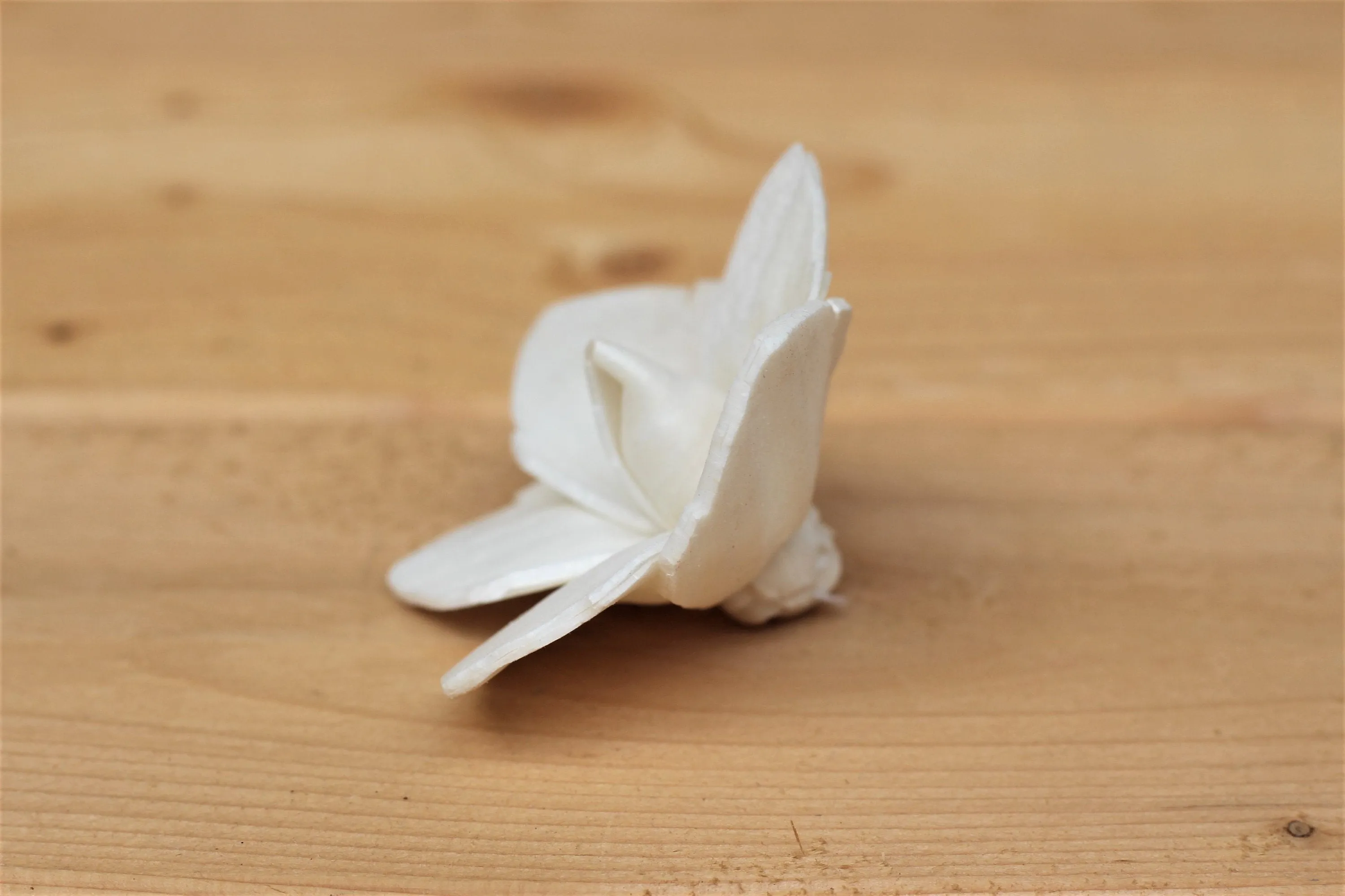 Sola Wood Daffodil Flowers 2"