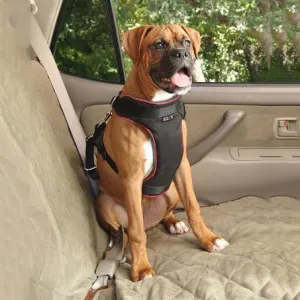 Solvit Pet Vehicle Safety Harness L
