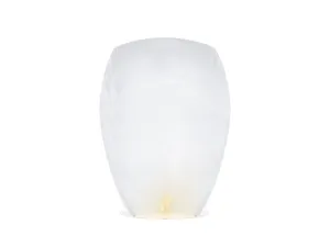 White Sky Lanterns